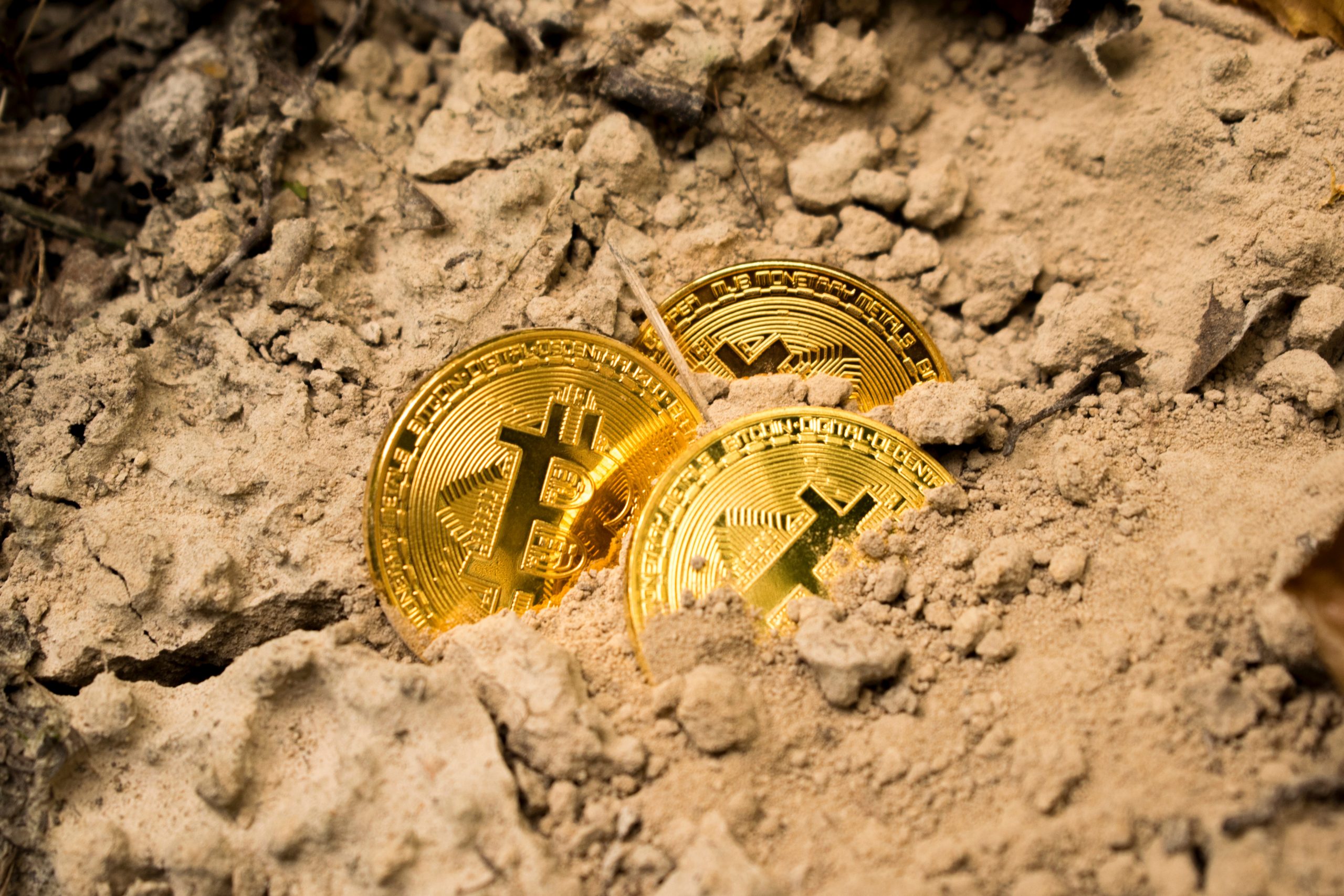 bitcoin in mud