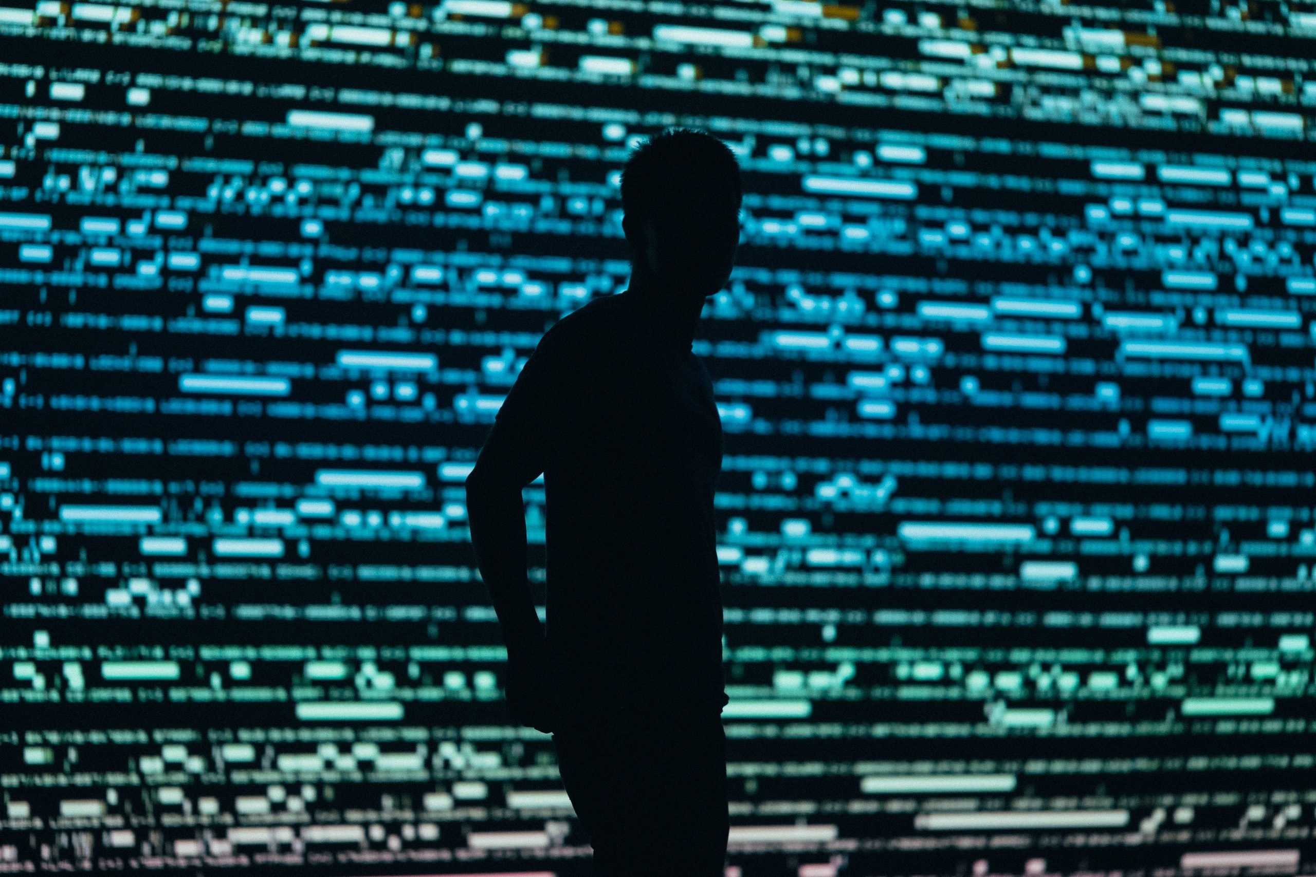 silhouette of a person